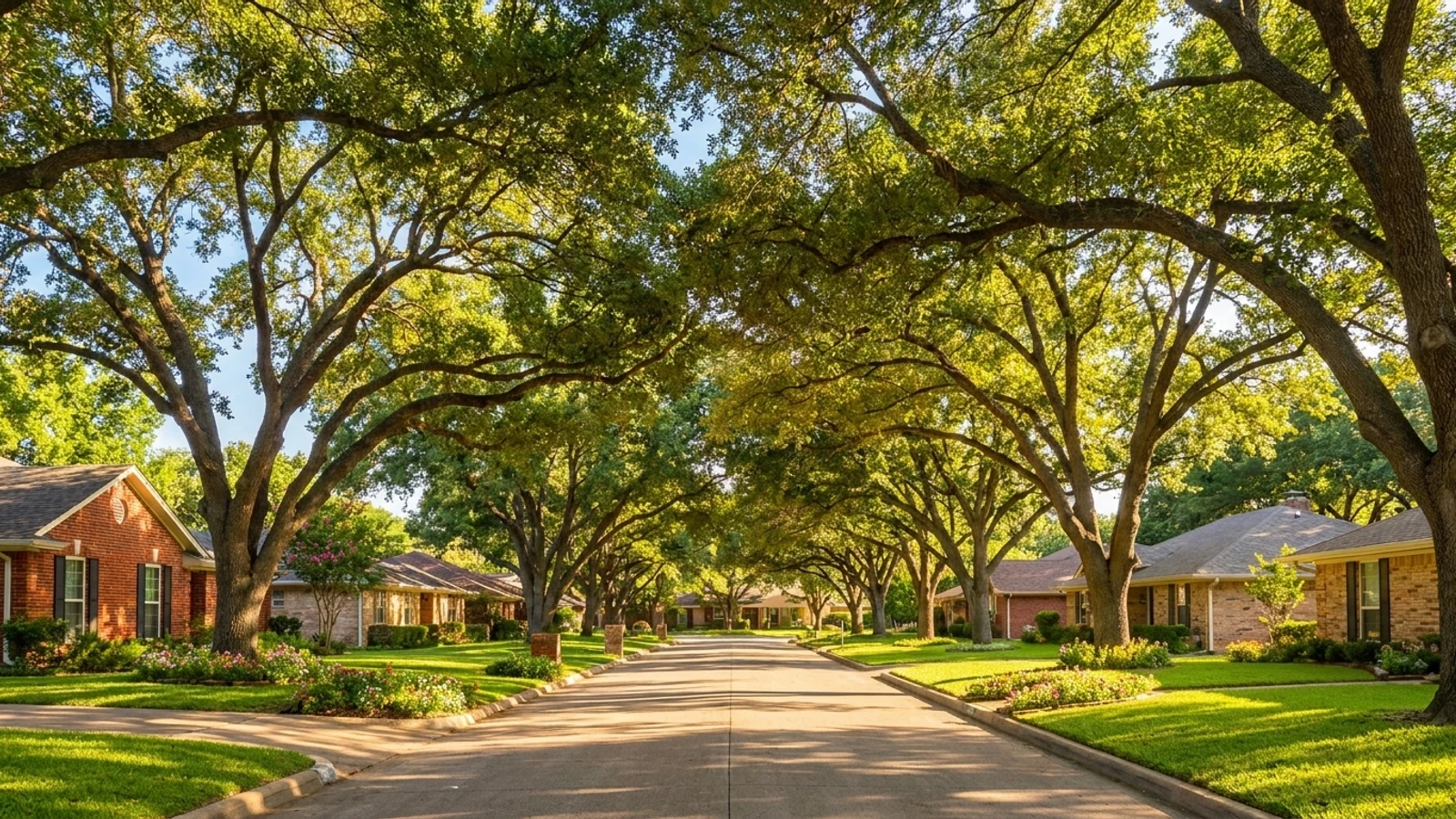 Homes in Universal City, TX
